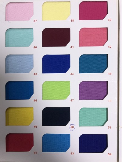 ZS-JQ 精棉拉架珠地  190/200g 後面照